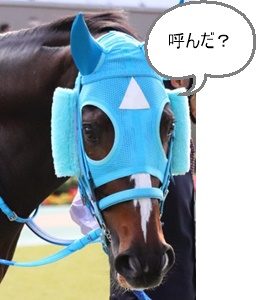 オジュウチョウサン 競走馬 の名前の由来や馬主は誰 障害レースの王者が武豊と有馬に参戦 キジトラの旬感 エンタメ情報